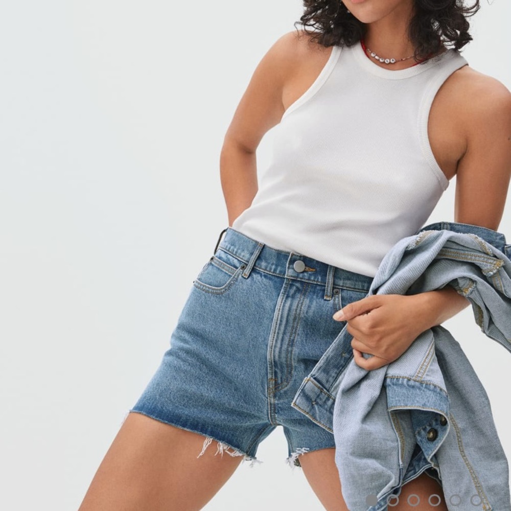 Everlane Way High Short- Washed Blue